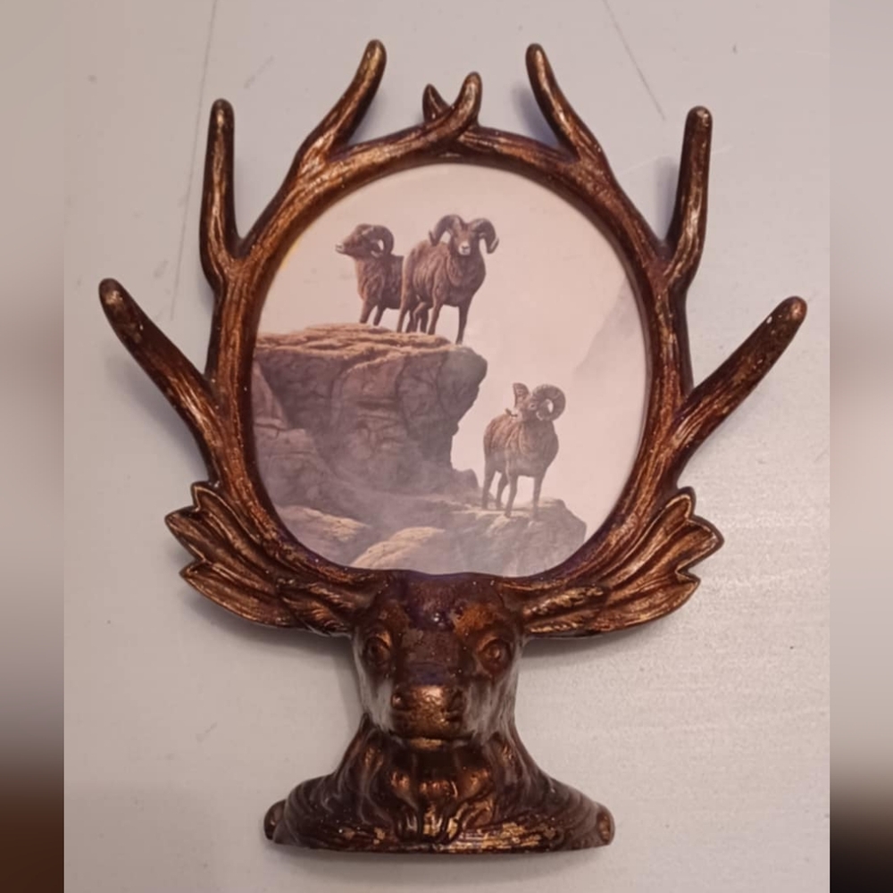 Antique cast iron antlered deer head picture frame 9" x 7"